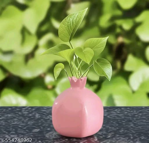Classy Vases